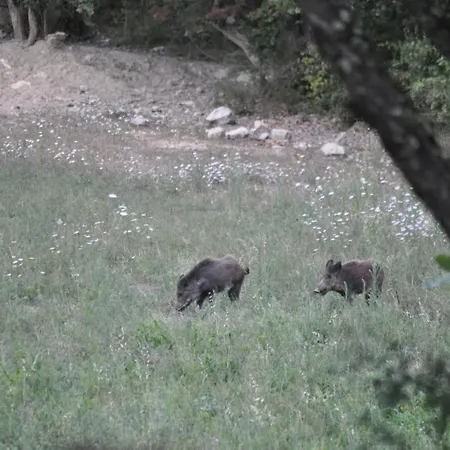 Un Coin De Paradis En Ardeche Lanas