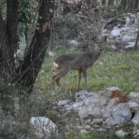 Un Coin De Paradis En Ardeche