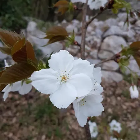 Un Coin De Paradis En Ardeche Villa *