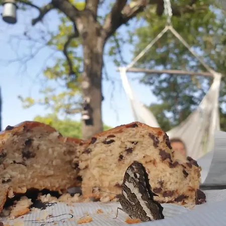 Un Coin De Paradis En Ardeche Villa *